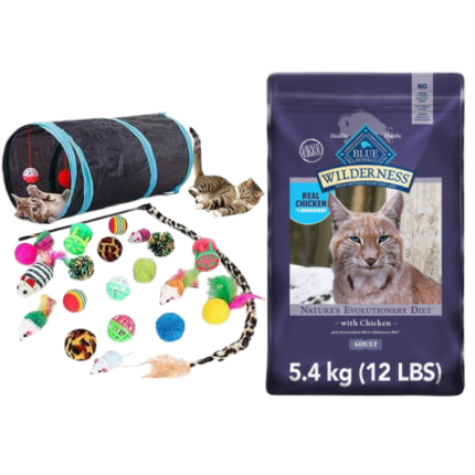 Basic Plan for Young Cat